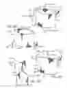 Fig. 10 - PROSTHETIC VALVES FORMED WITH ISOTROPIC FILTER SCREEN LEAFLETS