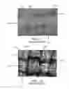 Fig. 02 - METHODS FOR PROSTHETIC VALVES FORMED WITH ISOTROPIC FILTER SCREEN LEAFLETS