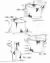 Fig. 10 - PROSTHETIC VALVES FORMED WITH SUPPORTING STRUCTURE AND ISOTROPIC FILTER SCREEN LEAFLETS