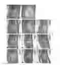 Fig. 13 - Silk fibroin hydrogels and uses thereof