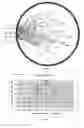 Fig. 09 - Providing measurements relating to different phase components of a flowing fluid
