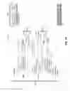 Fig. 34 - SYSTEM AND METHOD FOR ANALYZING AND DESIGNING AN ARCHITECTURAL STRUCTURE USING PARAMETRIC ANALYSIS