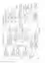 Fig. 34 - INTERNET-BASED NETWORK FOR SUPPORTING THE HARVESTING, PHOTO-ACTIVATION, CATALOGUING, TRACKING AND MANAGING ASPIRATED FAT TISSUE SAMPLES INCLUDING STEM CELLS THEREIN