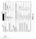 Fig. 09 - FACILITATING IDENTIFICATION OF POTENTIAL HEALTH COMPLICATIONS