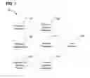 Fig. 02 - System and methods for referring physicians based on hierarchical disease profile matching