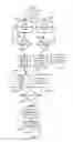 Fig. 08 - METHODS AND APPARATUS FOR A PROMOTIONAL COUPONING SYSTEM