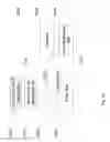 Fig. 16 - SYSTEM FOR RETRIEVING MOBILE COMMUNICATION FACILITY USER DATA FROM A PLURALITY OF PROVIDERS