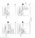 Fig. 11 - SYSTEM FOR RETRIEVING MOBILE COMMUNICATION FACILITY USER DATA FROM A PLURALITY OF PROVIDERS
