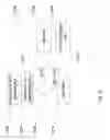 Fig. 16 - SYSTEM FOR RETRIEVING MOBILE COMMUNICATION FACILITY USER DATA FROM A PLURALITY OF PROVIDERS