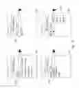 Fig. 11 - SYSTEM FOR RETRIEVING MOBILE COMMUNICATION FACILITY USER DATA FROM A PLURALITY OF PROVIDERS