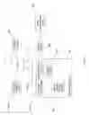 Fig. 19 - SYSTEM FOR RETRIEVING MOBILE COMMUNICATION FACILITY USER DATA FROM A PLURALITY OF PROVIDERS