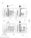 Fig. 10 - SYSTEM FOR RETRIEVING MOBILE COMMUNICATION FACILITY USER DATA FROM A PLURALITY OF PROVIDERS
