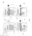 Fig. 10 - SYSTEM FOR RETRIEVING MOBILE COMMUNICATION FACILITY USER DATA FROM A PLURALITY OF PROVIDERS