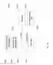 Fig. 16 - SYSTEM FOR RETRIEVING MOBILE COMMUNICATION FACILITY USER DATA FROM A PLURALITY OF PROVIDERS
