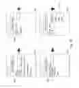 Fig. 11 - SYSTEM FOR RETRIEVING MOBILE COMMUNICATION FACILITY USER DATA FROM A PLURALITY OF PROVIDERS