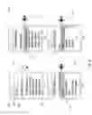 Fig. 10 - SYSTEM FOR RETRIEVING MOBILE COMMUNICATION FACILITY USER DATA FROM A PLURALITY OF PROVIDERS