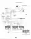 Fig. 05 - E-Commerce electronic data centrally distributed and collected
