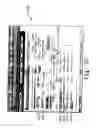 Fig. 32 - WASTE PROCESSING SYSTEM AND METHOD