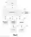 Fig. 07 - Web-based recruitment system