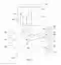 Fig. 03 - Validating legitimacy of a social security number or other identifier