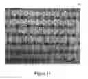 Fig. 14 - Retrieving electronic documents by converting them to synthetic text