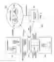 Fig. 04 -  Allowing External Access to Private Information of a Local Data Store