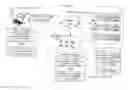 Fig. 01 - Patient identification
