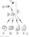 Fig. 07 - Peripheral device detection with short-range communication