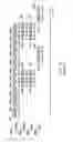 Fig. 12 - Method and apparatus for indicating mask information