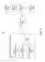 Fig. 02 - SMART GRID DEVICE AUTHENTICITY VERIFICATION