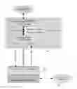 Fig. 01 - Parallel packetized interconnect with simplified data link layer