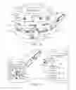 Fig. 09 - CONTROL RING INTERFACE FOR COMPUTING SYSTEMS