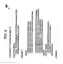 Fig. 09 - Automatically Selecting Internet Browser and Providing Web Page Service