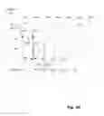 Fig. 08 - Temporally-assisted resource sharing in electronic systems