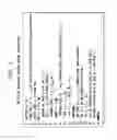 Fig. 07 - Amortizing costs of shared scans