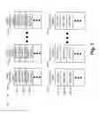 Fig. 04 - Content blackout determinations for playback of video streams on portable devices
