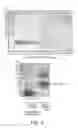 Fig. 04 - SOGA polynucleotides and polypeptides and uses thereof