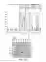 Fig. 16 - SOGA polynucleotides and polypeptides and uses thereof