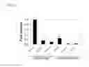 Fig. 28 - Gene and variations associate with BM1 phenotype, molecular markers, and their use