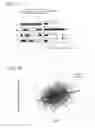 Fig. 13 - Recombinant DNA molecule encoding 5′ UTR capable of preventing inhibition of translation under environmental stresses