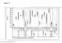 Fig. 03 - Nucleic acid molecules that target the RHO1 small GTP-binding protein and confer resistance to coleopteran pests