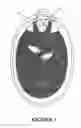 Fig. 02 - Bath