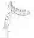 Fig. 01 - Adjustable support