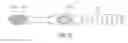 Fig. 08 - Oral care implement having flexibly supported cleaning elements extending in opposite directions