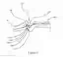 Fig. 14 - Toothbrush