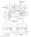 Fig. 17 - Toothbrush