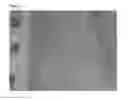 Fig. 04 - LINT FREE CONTAINER