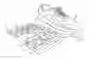 Fig. 01 - PRE-PRINTED NEWSPRINT SHEETS FOR DRYING SHOES