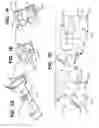 Fig. 03 - Belt and/or buckle assembly