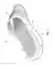 Fig. 03 - Article of footwear with ribbed footbed